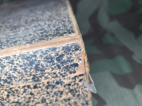 German Celluloid Accordion in Box WORKING