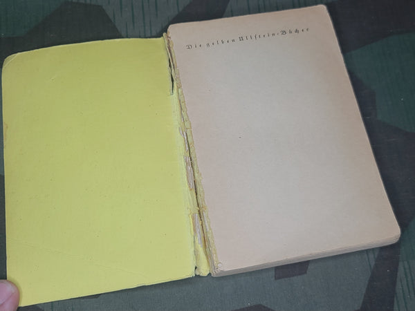 Die Zeppelin Fahrt Book 1928