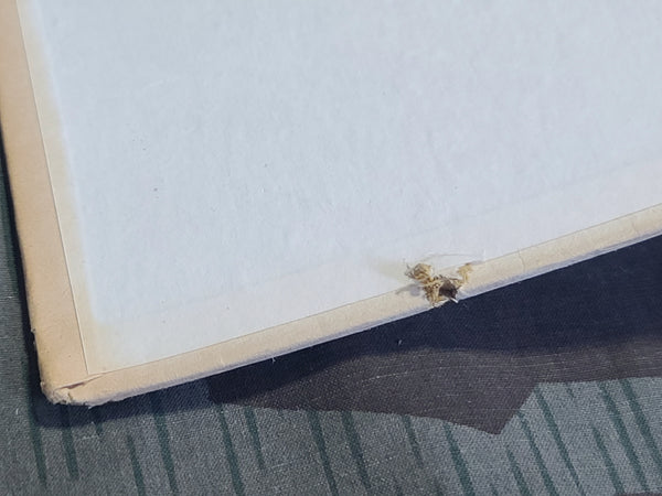 Das Buch von Unbekannten Soldaten by Walther Beckmann 1942