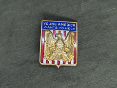 Young America Wants to Help Pin