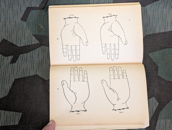 1938 German Palm Reading Book