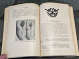 1944 Werkbuch Für Mädchen