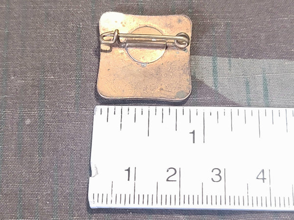 Evangelische Frauenhilfe Pin