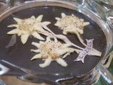 Glass Edelweiss Luzern Swiss Ashtray