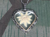 Edelweiss Flower Heart Shaped Necklace