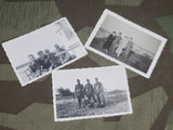 Lot of 3 RAD Photos Potsdam
