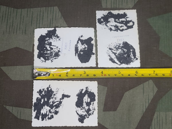 Lot of 3 RAD Photos Potsdam