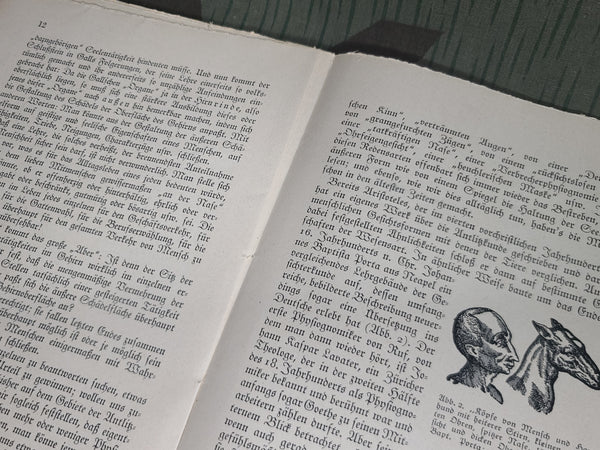 Dein Kopf dein Charakter! Book