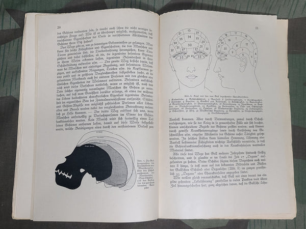 Dein Kopf dein Charakter! Book