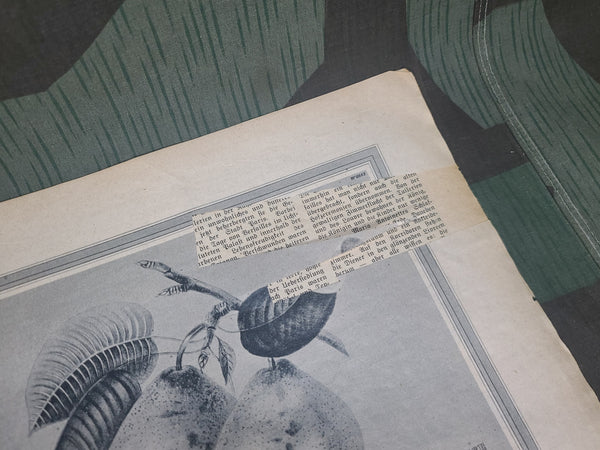 Koralle Magazine 10 November 1940 (AS-IS)