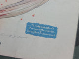 Herbal Tea Recipe Book Deutsches Frauenwerk