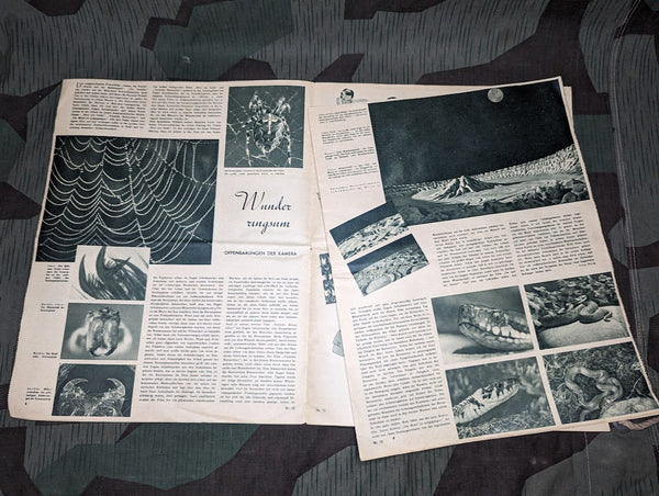 Deutsche Frauen Zeitung Heft 12 1942/1943 June