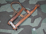 Small-Medium German Dog Harness