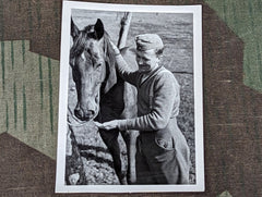 Original Photograph Soldier with Horse