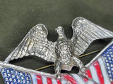 Eagle with 48 Star Flag Pin