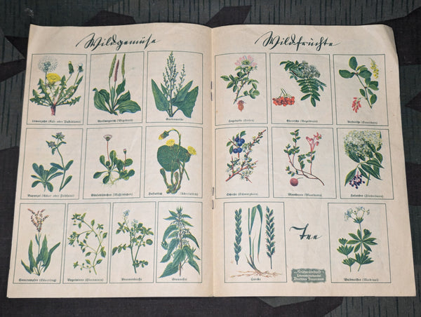 German Wild Fruits and Vegetables Recipe Book