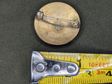 American Red Cross Nurse Aide Pin