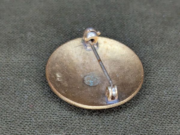 American Red Cross Nurse Aide Pin