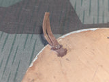 Nur die Ruhe kann es bringen! Horse Shoe Decoration