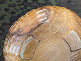 SS Wood Bread Plate Heil Dem Gast Der Zu Uns Kommt