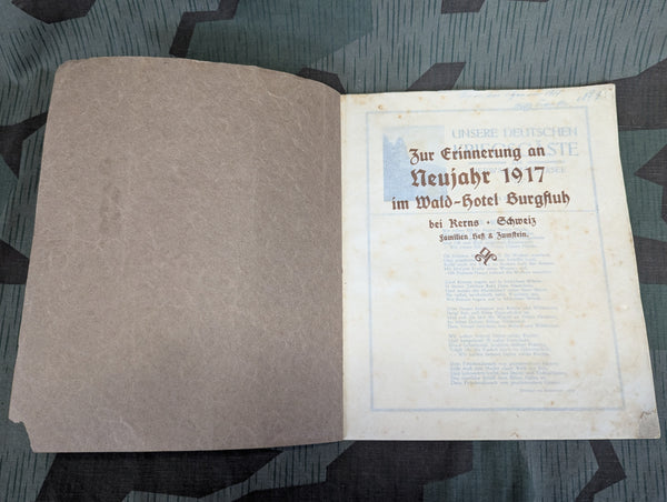 Unsere Deustchen Kriegsgäste 1917 (German War Guests) Switzerland