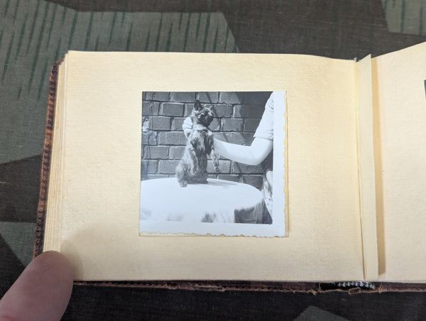 Soldiers / Family / Vacation Photo Small Album (47 photos)