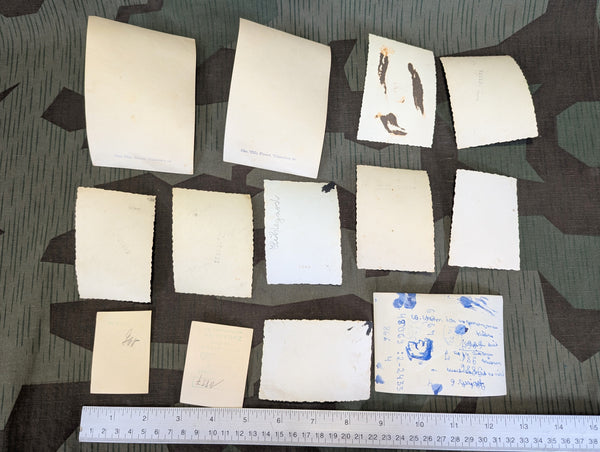 German Family Photo Lot (13 Photos)