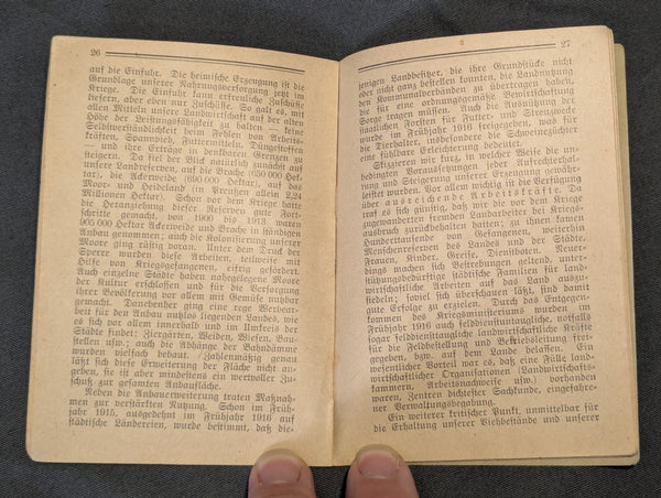 1916 Trench Book Schützgraben Bücher German Food Industry in War