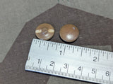 Original Steinnuss Buttons Gebirgsjäger