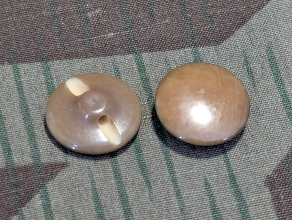 Original Steinnuss Buttons Gebirgsjäger