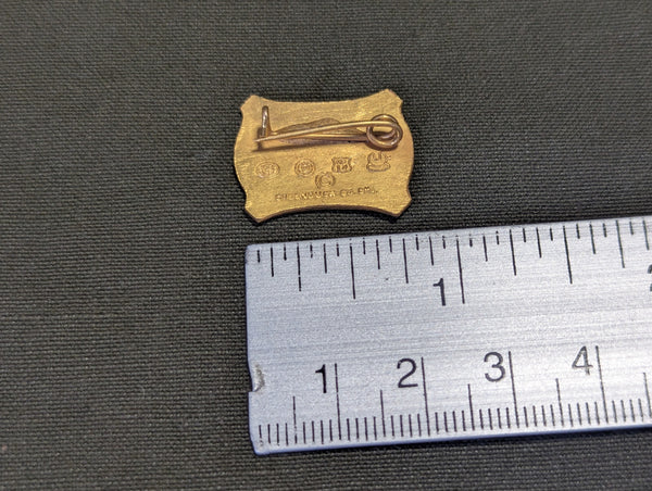 Small US Map Sweetheart in Service Pin