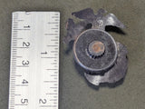 Original Bakelite Marine EGA