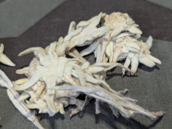 Dried Edelweiss Flowers in Ovarin Women's Supplement Box