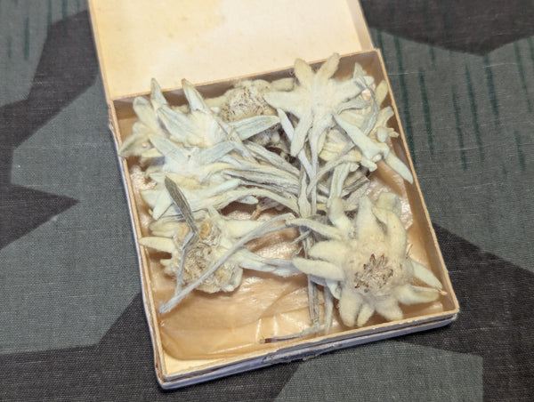 Dried Edelweiss Flowers in Ovarin Women's Supplement Box