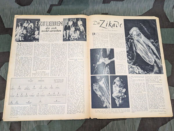 Koralle Magazine Nr.48 30 November 1941 USA Anti-Nazi Rally
