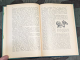 Dein Kopf dein Charakter! Skull Shape Book 1934