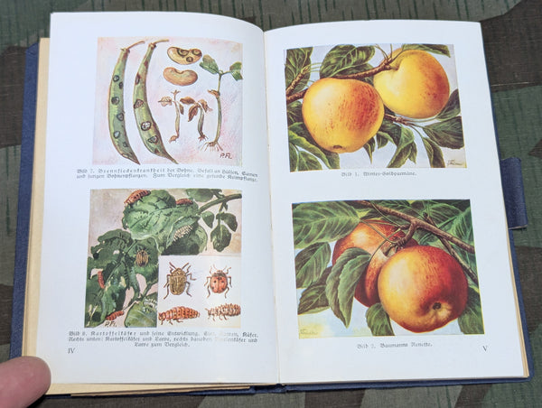 1935 Kleingärtner und Kleinsiedler Calendar Book for Small Gardens