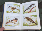 1935 Kleingärtner und Kleinsiedler Calendar Book for Small Gardens