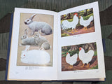 1935 Kleingärtner und Kleinsiedler Calendar Book for Small Gardens
