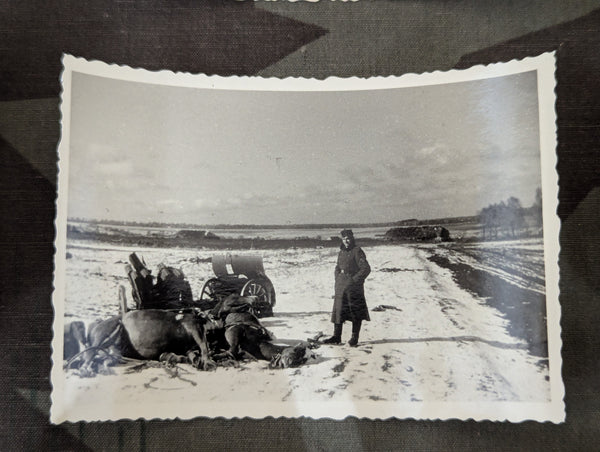 Lot of 16 Original Wehrmacht Photos