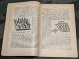 Vom Sieghaften Zellenstaat Feldpost Book