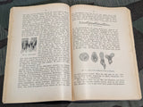 Vom Sieghaften Zellenstaat Feldpost Book