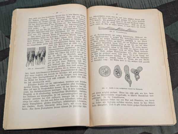 Vom Sieghaften Zellenstaat Feldpost Book