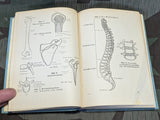 1939 DRK Erste Hilfe First Aid Book