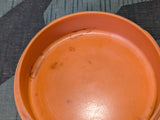 Original Butter Dish Orange