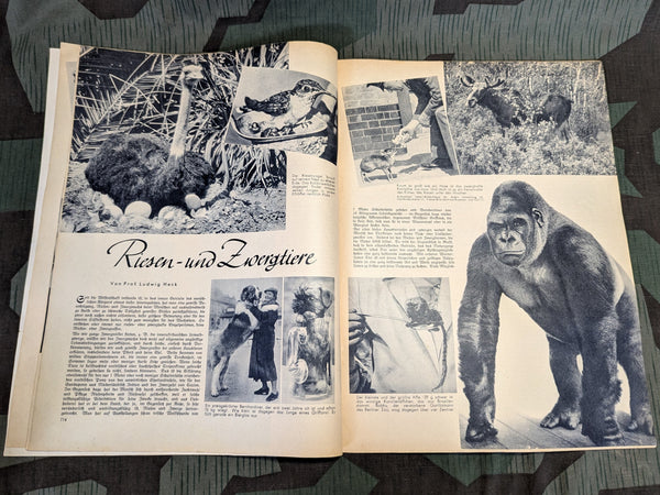 Die Neue Gartenlaube Magazine 4 July 1938 Heft 30
