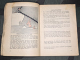 Hier Lacht Der Soldat Soldiers Humor Jokes and Sketch Book AS-IS