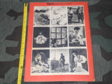 January 1941 Signal Magazine in French No. 2