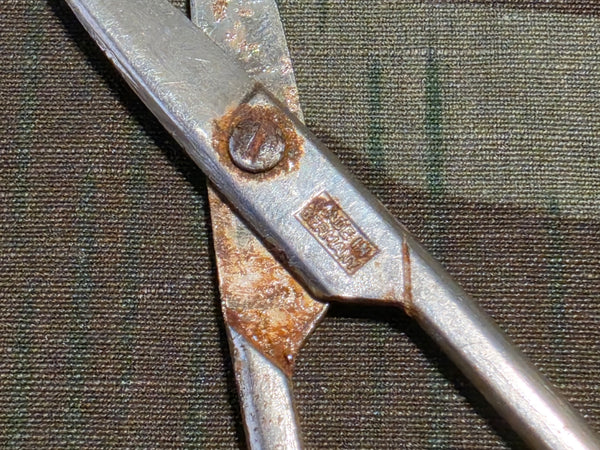 Small German Scissors (AS-IS)