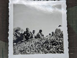 Lot of 3 RAD Photos